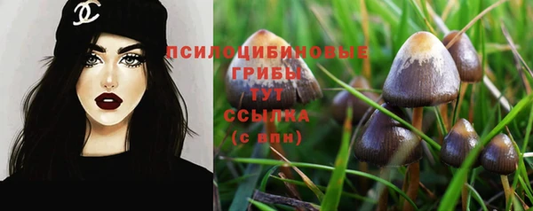 дурь Алексин