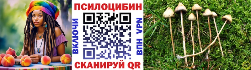 Псилоцибиновые грибы прущие грибы  где купить наркоту  Себеж 